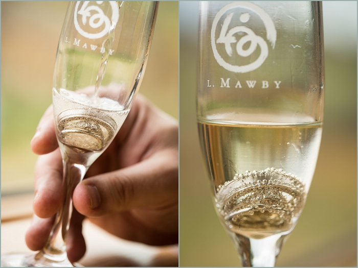 1-Michigan Wedding Photography (10)