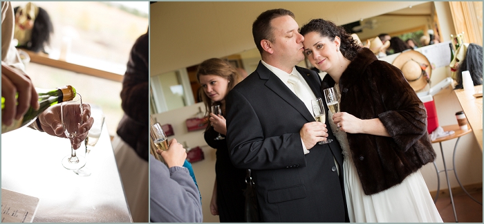 1-Michigan Wedding Photography (9)