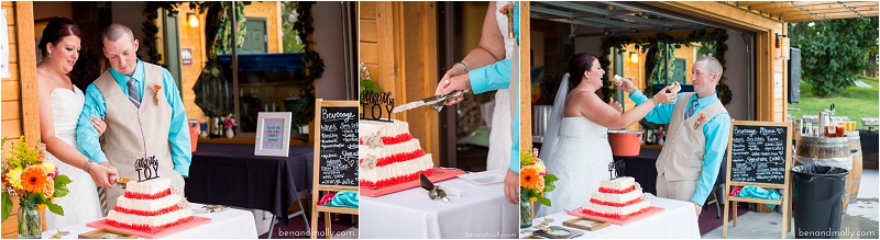 Atam Winery Lake Chelan wedding venue photo (47)