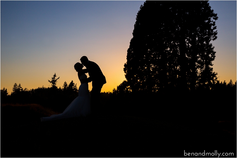 Maple Valley Wedding Photography Olson Mansion Photo (78)