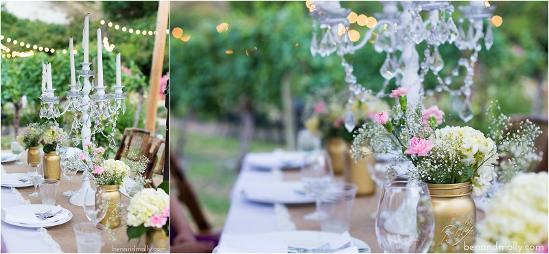 Lake Chelan wedding photographer photo (41)