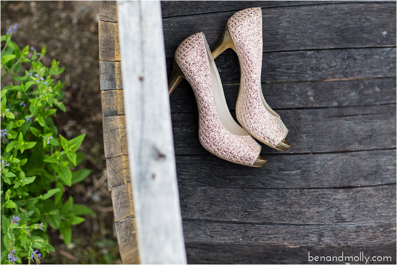 Lake Chelan wedding photographer photo (5)