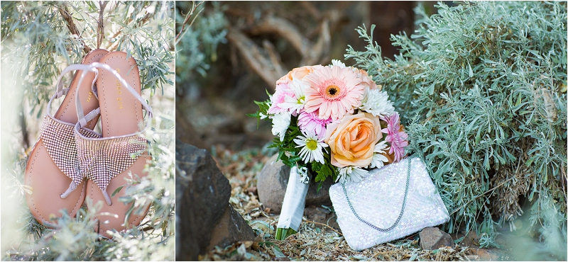 Cave B Winery Wedding Photographer photo (5)