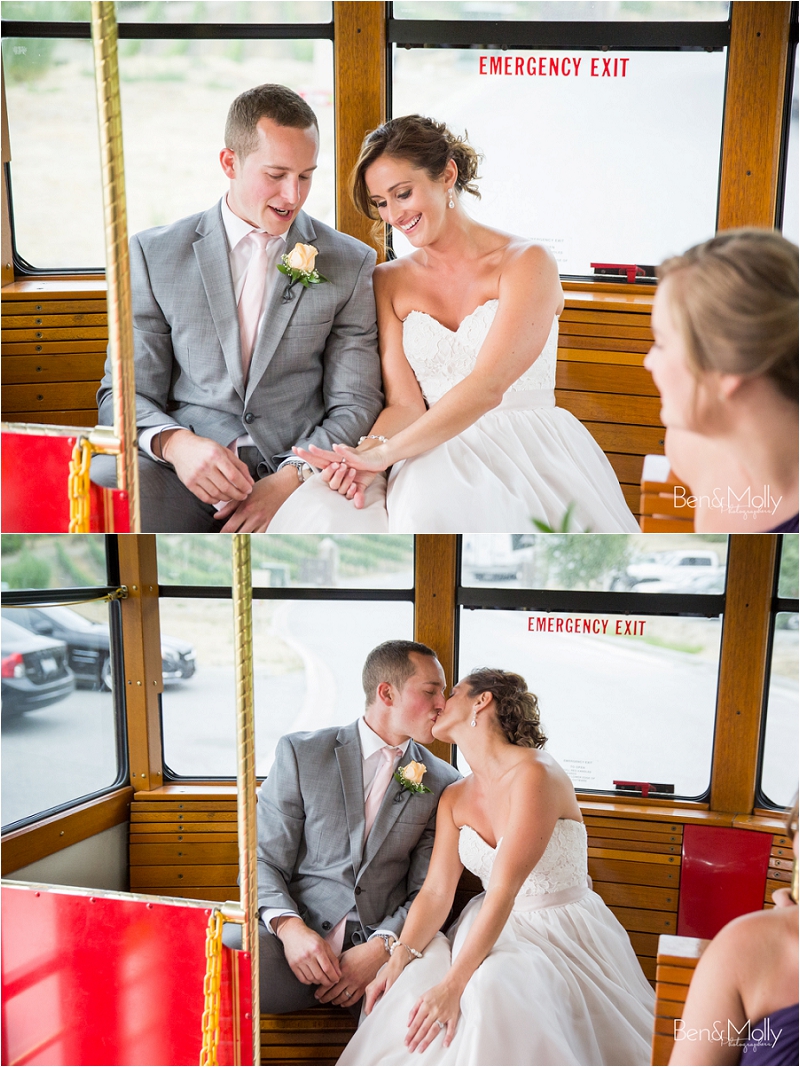 Lake Chelan Vineyard wedding photo (41)