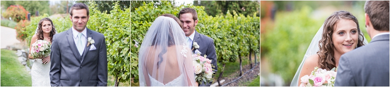 Lake Chelan Wedding Photographer Photo (4)