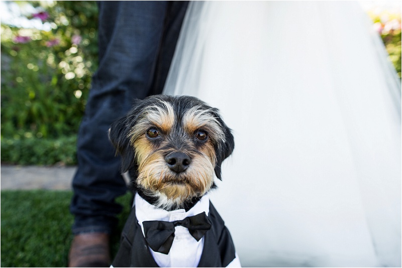 Lake Chelan Wedding Photographer Karma Vineyards (24)