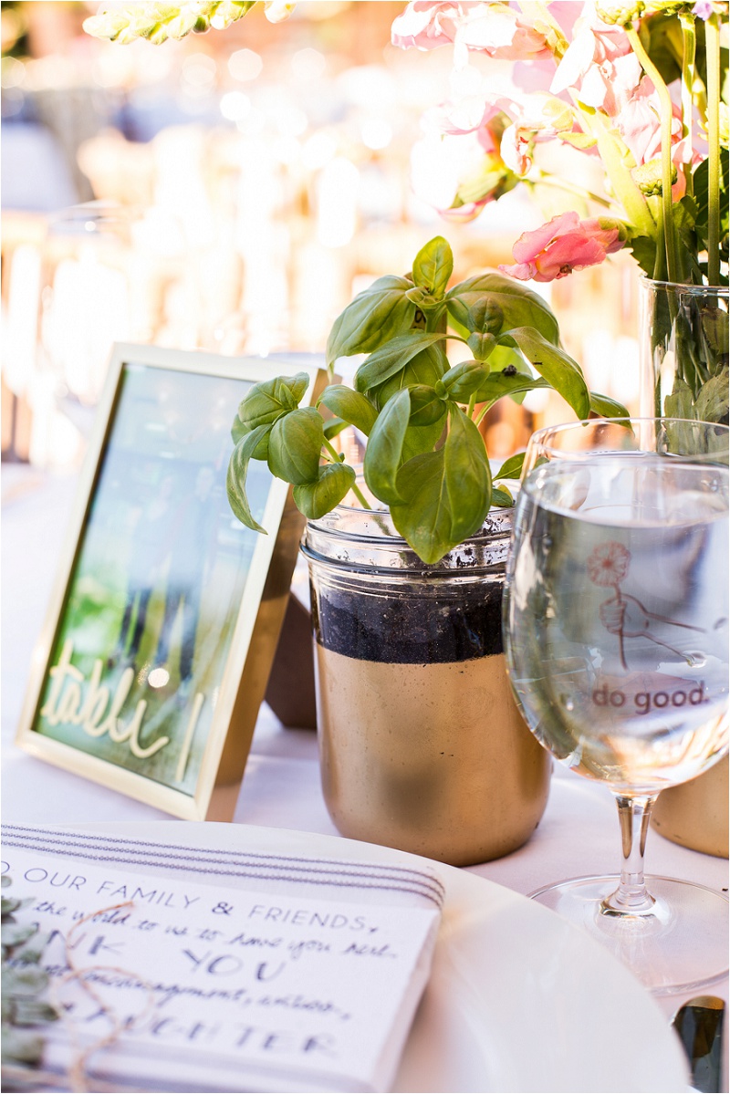 Lake Chelan Wedding Photographer Karma Vineyards (53)